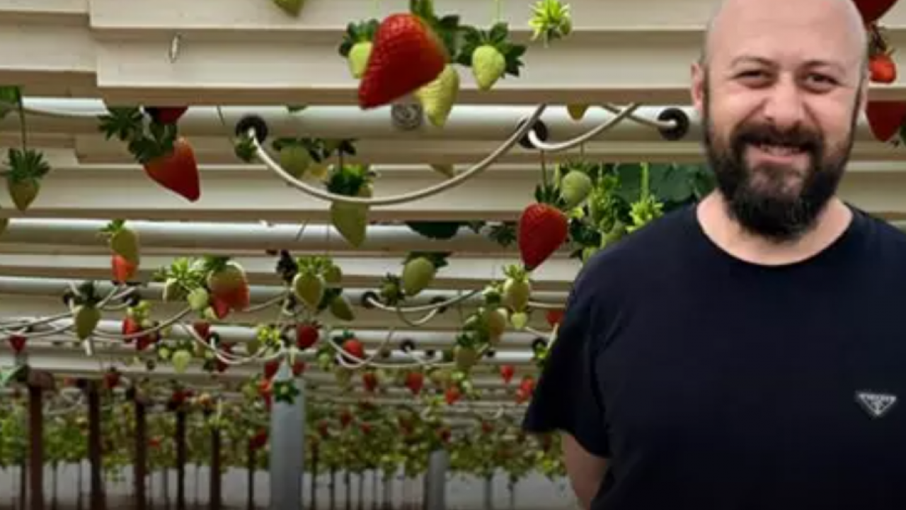 Almanya'da öğrendi Türkiye'de hayata geçirdi! Topraksız üretime başladı!