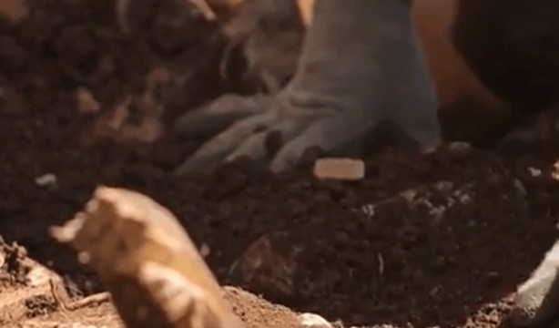 Foto - Almanya’da şaşkına çeviren olay! Kazma vuruldukça altın fışkırdı