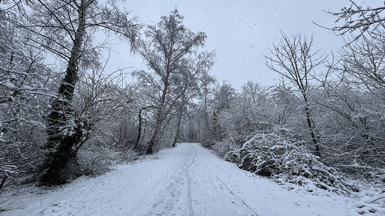 Foto - Almanya'da tehlike çanları! Şiddetli kar yağışı ve buzlanma hayatı felç edebilir