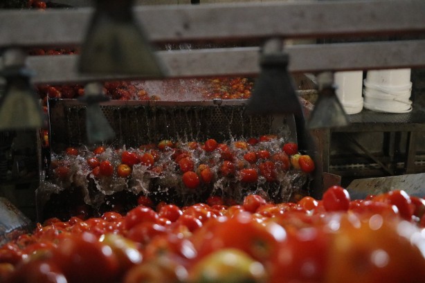 Foto - Almanya’dan ABD’ye kadar! 20 ülke deprem bölgesinden kapış kapış alıyor