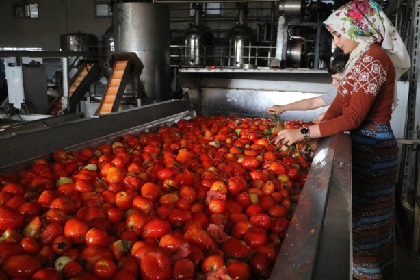 Foto - Almanya’dan ABD’ye kadar! 20 ülke deprem bölgesinden kapış kapış alıyor