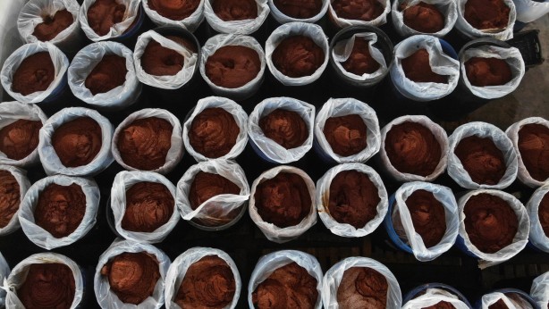 Foto - Almanya’dan ABD’ye kadar! 20 ülke deprem bölgesinden kapış kapış alıyor