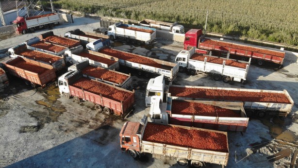 Almanya’dan ABD’ye kadar! 20 ülke deprem bölgesinden kapış kapış alıyor