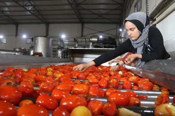 Foto - Almanya’dan ABD’ye kadar! 20 ülke deprem bölgesinden kapış kapış alıyor
