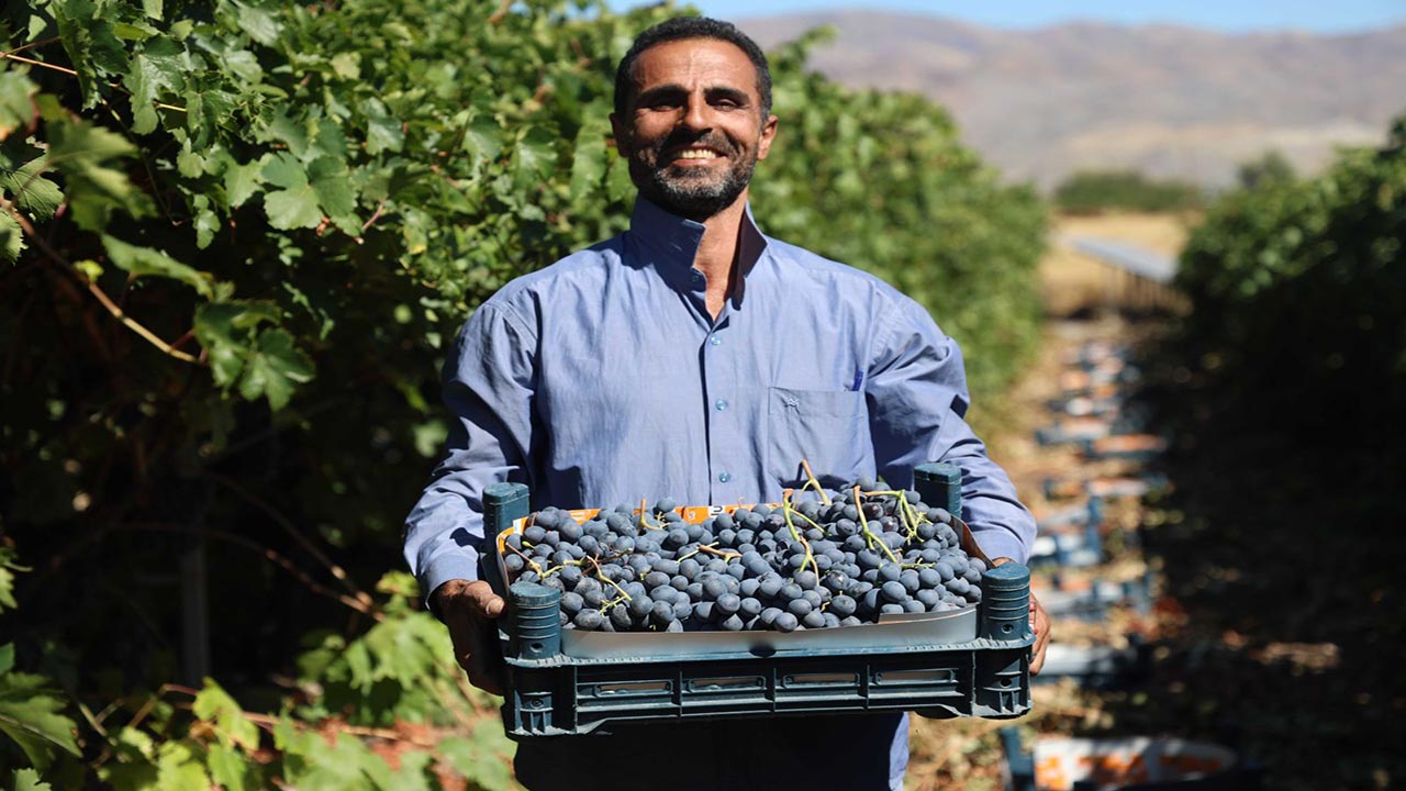 Foto - Almanya'dan memleketine dönüp başladı! Şimdi paraya para demiyor