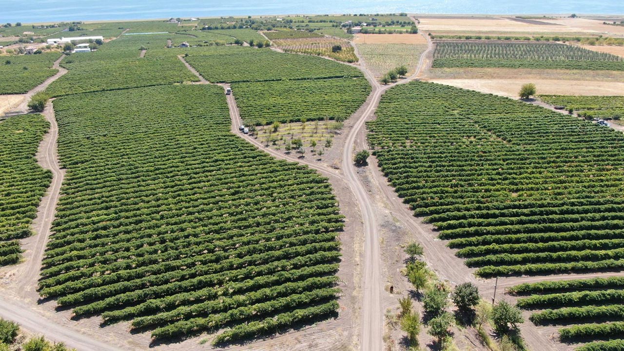Foto - Almanya'dan memleketine dönüp başladı! Şimdi paraya para demiyor