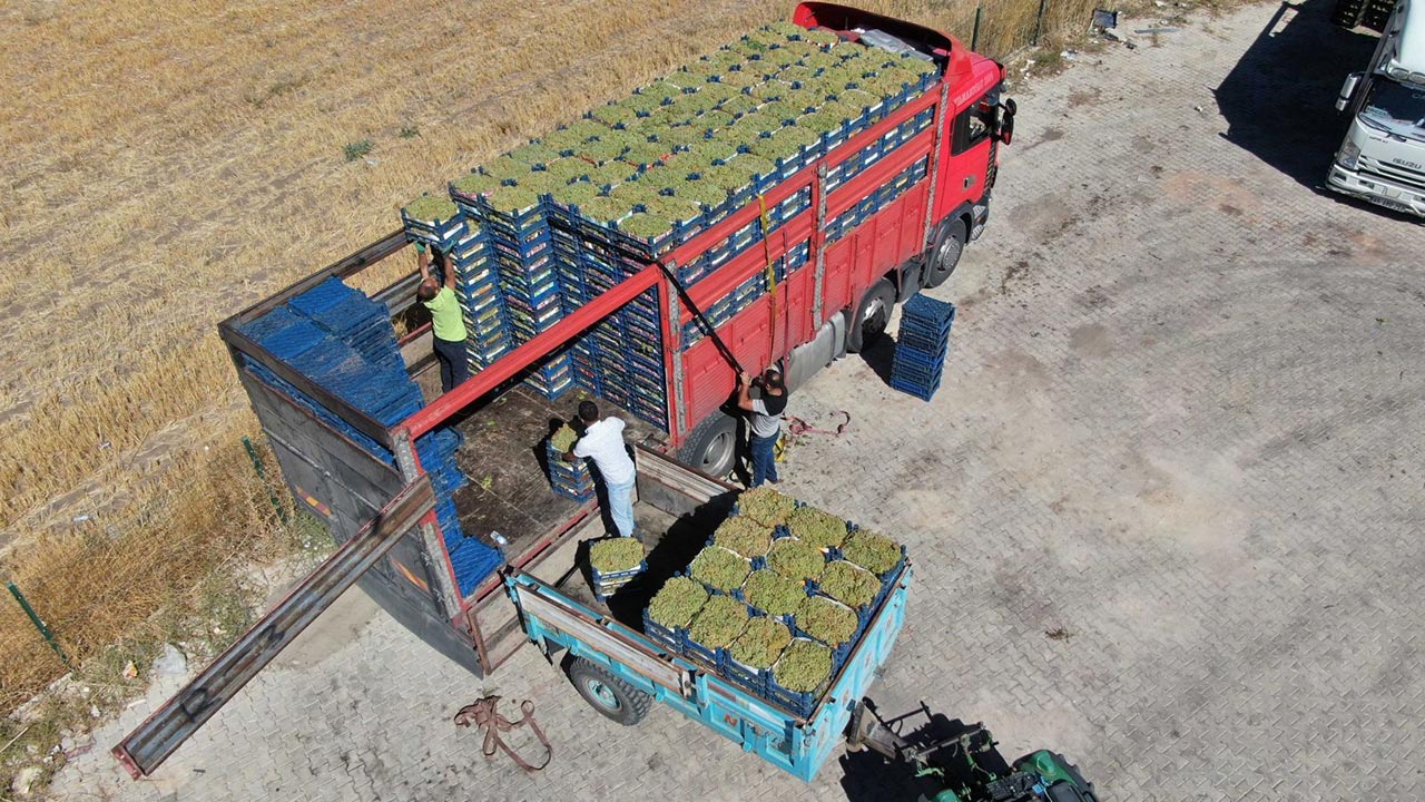 Foto - Almanya'dan memleketine dönüp başladı! Şimdi paraya para demiyor