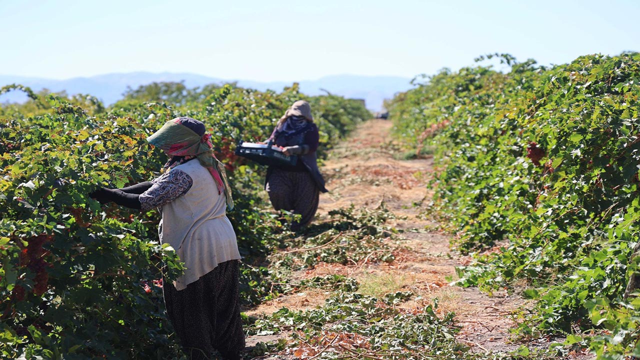 Foto - Almanya'dan memleketine dönüp başladı! Şimdi paraya para demiyor