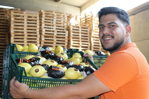 Foto - Almanya'ya limon o ilimizden gidiyor