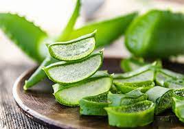 Foto - Aloe vera: Ev için faydalı bitki! Havası ile böyle deliksiz bir uyku yükleniyor! Maskeleriyle de etkileri var