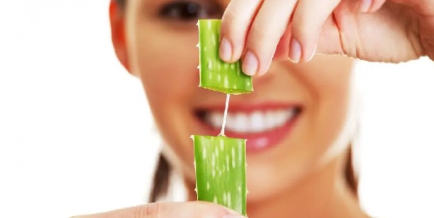 Foto - Aloe Vera’nın Faydaları