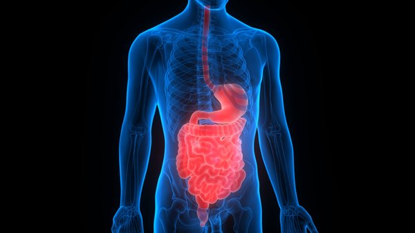 Foto - Altı diş kavrulmuş sarımsak yedikten 24 saat sonra vücudunuzda bakın neler oluyor!