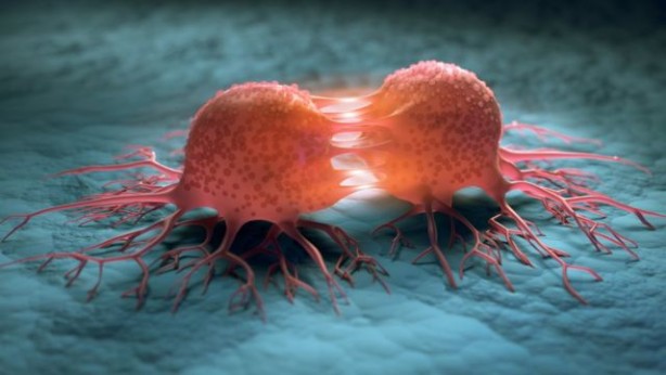 Foto - Altı diş kavrulmuş sarımsak yedikten 24 saat sonra vücudunuzda bakın neler oluyor!