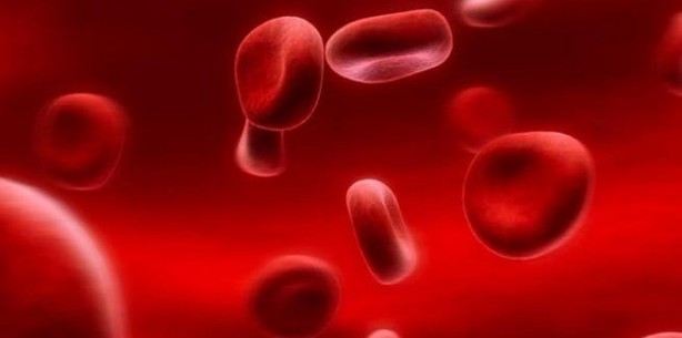 Foto - Altı diş kavrulmuş sarımsak yedikten 24 saat sonra vücudunuzda bakın neler oluyor!