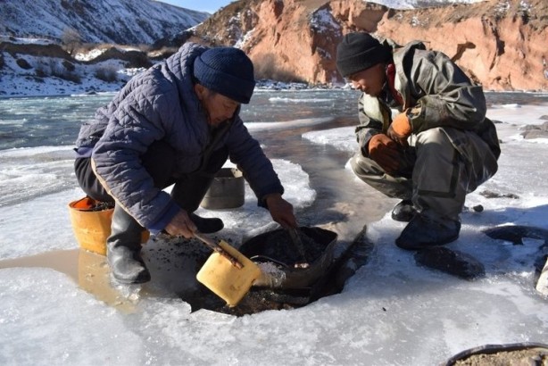 Foto - Altın fışkırıyor! Köylüler günde 500 gram altın çıkarıyor