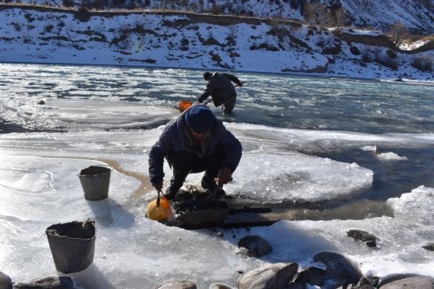 Foto - Altın fışkırıyor! Köylüler günde 500 gram altın çıkarıyor