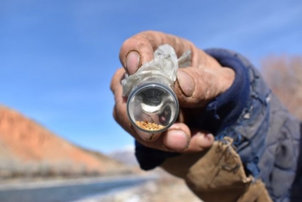 Foto - Altın fışkırıyor! Köylüler günde 500 gram altın çıkarıyor