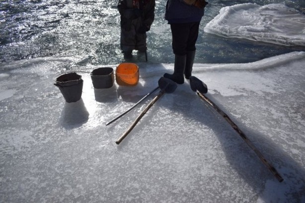 Foto - Altın fışkırıyor! Köylüler günde 500 gram altın çıkarıyor