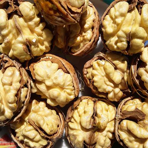 Foto - Altın hasat! Şifa veren bitki: Kendiliğinden yetişiyor, 1 tanesi bile hafızayı uçuruyor! Dikkat çeken şok detay