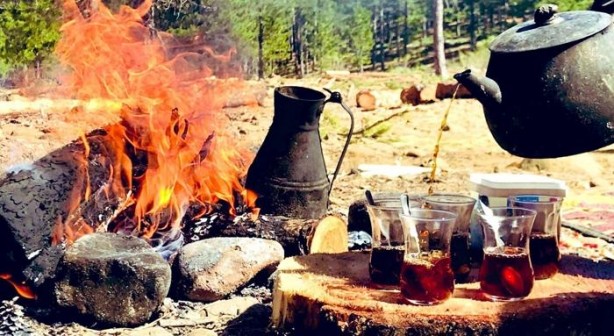 Foto - Altın ödüllü demleme yöntemi! Bu yöntemi uygulayan çaydan vazgeçemiyor