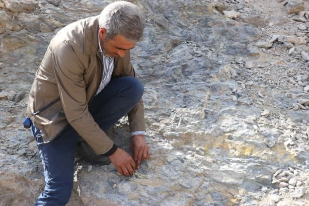 Foto - Altın rezervi bulunmuştu! O bölgede çalışmalar başladı