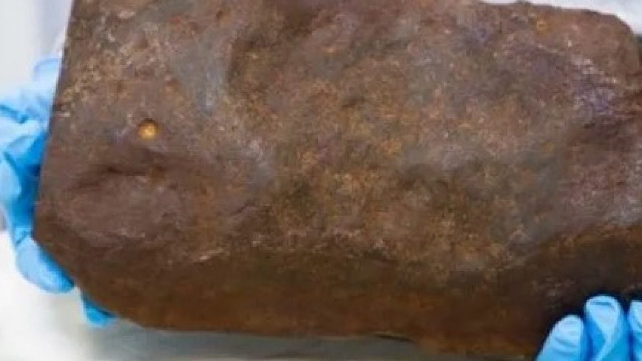 Altın sandığı hazine bambaşka çıktı! Dünyada yalnızca 17 örneği var