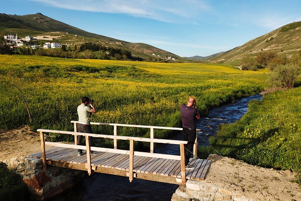 Foto - Altın Vadisi sarıya büründü! Bu manzara için sadece 10 gün kaldı