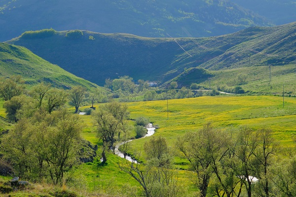 Foto - Altın Vadisi sarıya büründü! Bu manzara için sadece 10 gün kaldı
