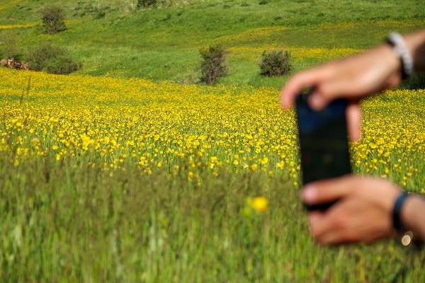 Foto - Altın Vadisi sarıya büründü! Bu manzara için sadece 10 gün kaldı