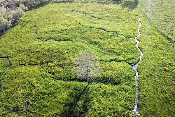 Foto - Altın Vadisi sarıya büründü! Bu manzara için sadece 10 gün kaldı
