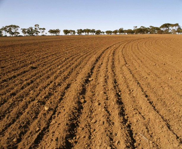 Foto - Altın, dolar ve toprak üzerine tahminleriyle gündem olan Ramazan Kurtoğlu’ndan acil uyarı: Hemen satın