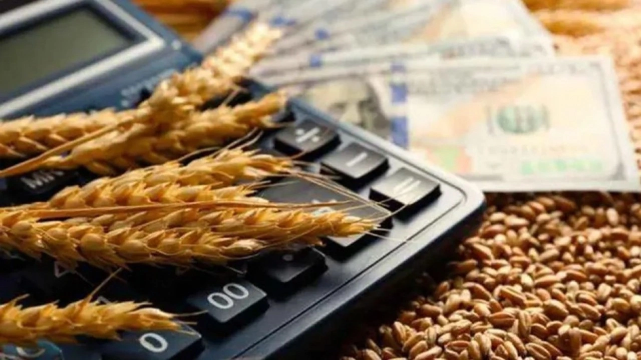 Foto - Altın ve gümüşü geride bıraktı! Fiyatı yüzde 74 arttı, bu yatırım aracını sessiz sedasız alanlar yaşadı