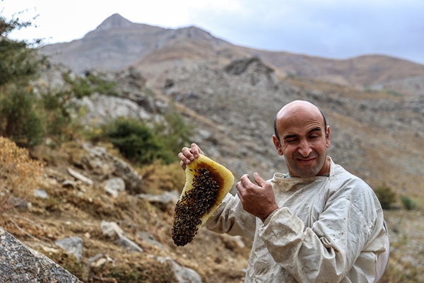Foto - Altından çok daha kıymetli... Binbir zahmetle çıkarılıyor
