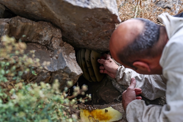 Foto - Altından çok daha kıymetli... Binbir zahmetle çıkarılıyor
