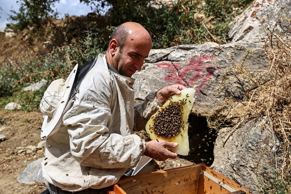 Foto - Altından çok daha kıymetli... Binbir zahmetle çıkarılıyor