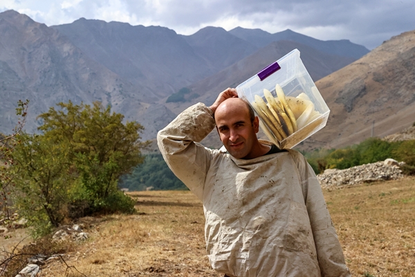 Foto - Altından çok daha kıymetli... Binbir zahmetle çıkarılıyor
