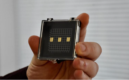 Foto - Altından daha değerli! Türkiye'de üretilip 100 dolara satılıyor... Ülkeler satın almak için Konya'da kamp kurmaya başladı