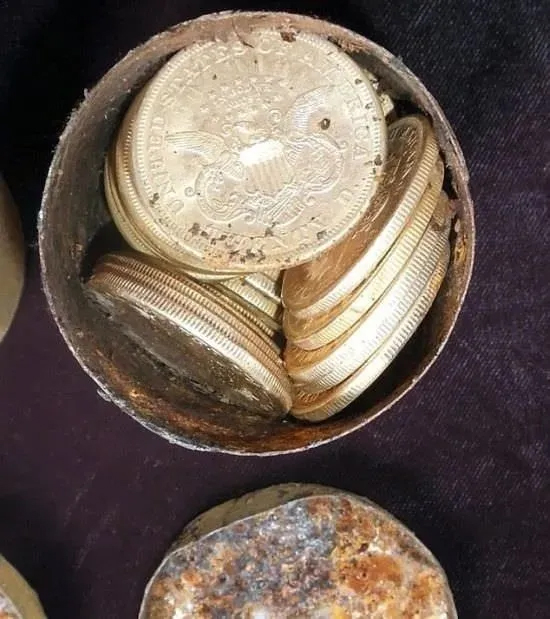 Foto - Altından kat kat daha kıymetli! ABD ülkesinde köpek gezdirirken buldu! Hazine yaklaşık 19. yüzyıla ait 