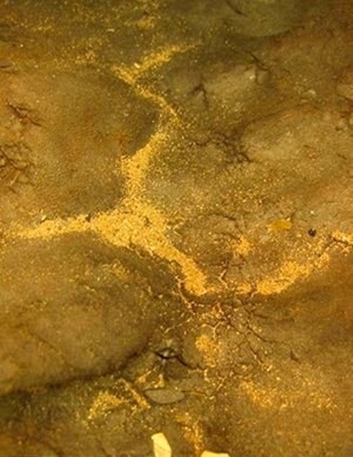 Foto - Alyans işte böyle yapılıyor