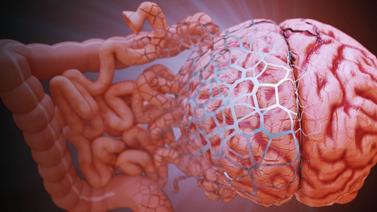 Foto - Alzheimer araştırmalarında heyecanlandıran keşif ! Beyinde daha önce bilinmeyen "temizlik ağı" bulundu