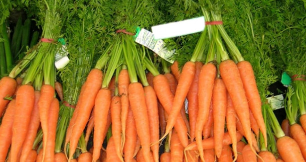 Alzheimer'a karşı 'havuç'