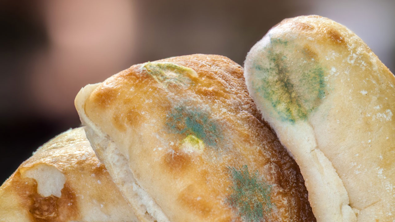 Foto - Aman bu konuya çok dikkat edin! Küflenmiş ekmeği yemek doğru mu? 