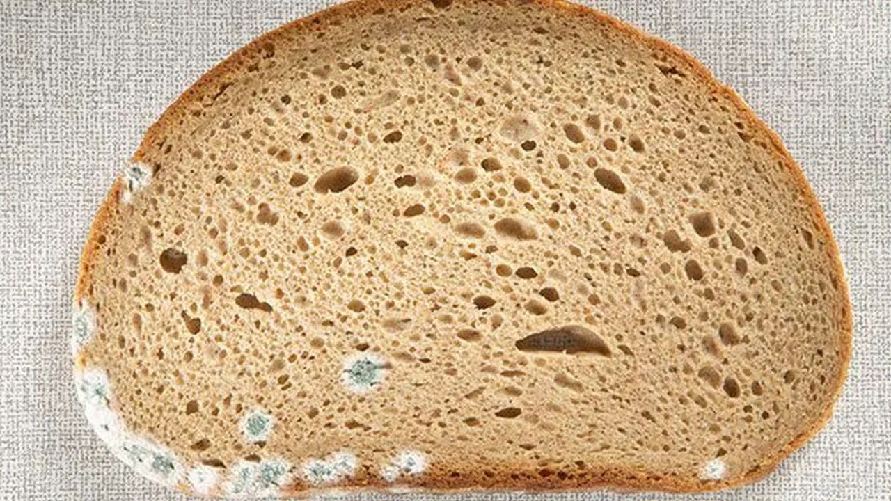 Foto - Aman bu konuya çok dikkat edin! Küflenmiş ekmeği yemek doğru mu? 