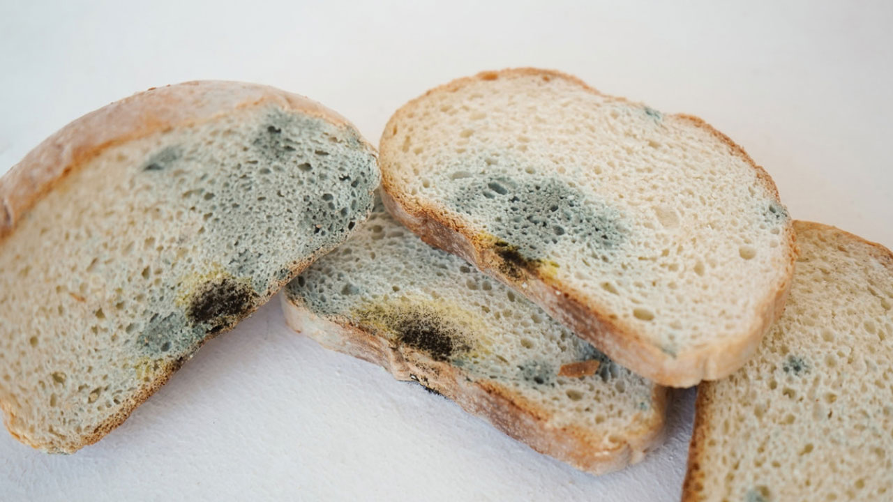 Aman bu konuya çok dikkat edin! Küflenmiş ekmeği yemek doğru mu? 