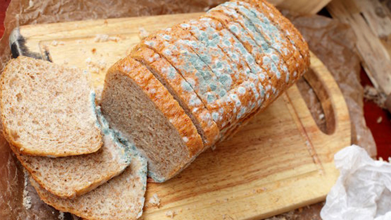 Foto - Aman bu konuya çok dikkat edin! Küflenmiş ekmeği yemek doğru mu? 