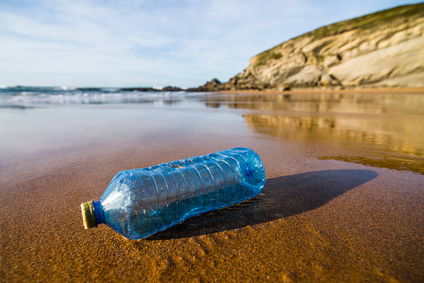 Foto - Aman dikkat! Arıtılmayan atık su tehlike saçıyor