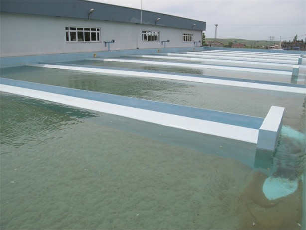 Foto - Aman dikkat! Arıtılmayan atık su tehlike saçıyor