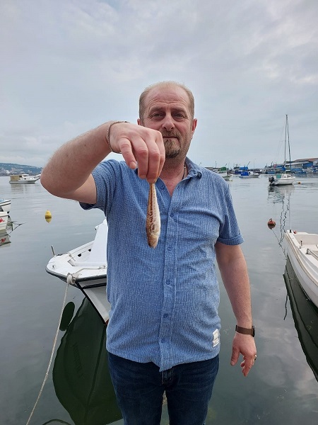 Foto - Aman dikkat! Bu balık zehirli