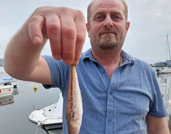 Aman dikkat! Bu balık zehirli