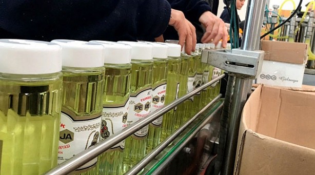 Foto - Aman dikkat! Bu oranlardaki kolonyalarda virüs elinize yapışabilir